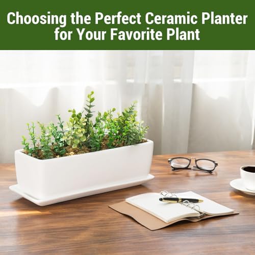 MyGift 14 Inch Ceramic Indoor Plant Pot with Drainage Hole, Rectangular Succulent Planter Window Box with Removable Saucer, Unglazed White (Pack of 2) - Image 2