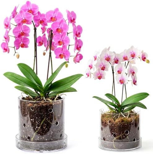 6/7 Inch Clear Acrylic Orchid Planter Pot with 360° Round Holes & Tray by Yiyiring