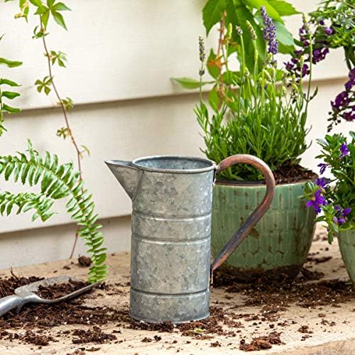 Park Hill Collection ECM82335 Tin Watering Can, Small, 8-inch Height by Unknown