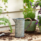 Park Hill Collection ECM82335 Tin Watering Can, Small, 8-inch Height by Unknown