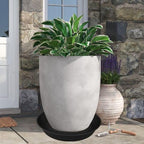 2 Pack of 16 17 inch Plant Saucer (15 inch Base), 2.3" Depth, Plant Trays for Pots, Plastic Plant Saucers for Indoors, Bird Bath Bowls, Flower Pot Drip Trays for Planter (17", Black) - Image 3