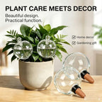 Self Watering Plant Globes, Water Bulbs for Indoor Outdoor Plants，4-750ml - Image 5