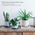 2 Pack of 16 inch Plant Saucer, Large Plant Tray, Heavy Sturdy Plant Drainage Tray for Indoors, Bird Bath Bowls, Sturdy 18 inch Plastic Pot Tray for Planter (Brown) - Image 6