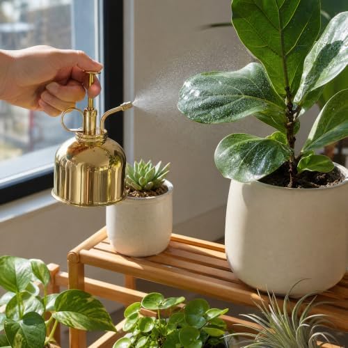 Brass Plant, Manual Pump Watering - Image 4