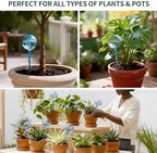 Soilagua 12-Pack Plastic Plant Watering Globes, Premium PVC Shatter-Resistant Plant Waterer, Tapered Opening Self Watering Planter Insert, Automatic Watering Spikes for Daily & Vacation Plants Care - Image 3