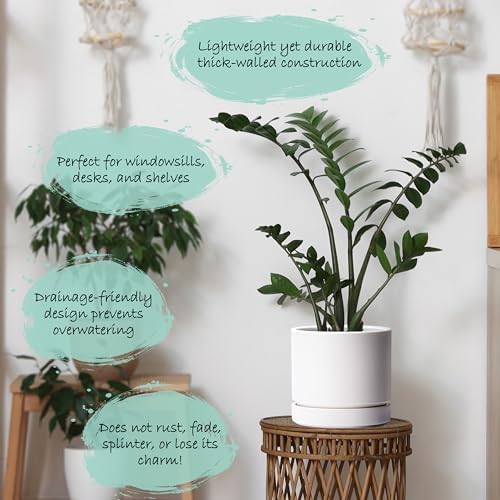 Phoenix Vine 8 Inch Planter Pot with Drainage Hole & Saucer, Deep Water Catch Tray, Straight Cylindrical Round Pot for Plants, Matte White, Pack of 1, 23-B-T-1 - Image 3