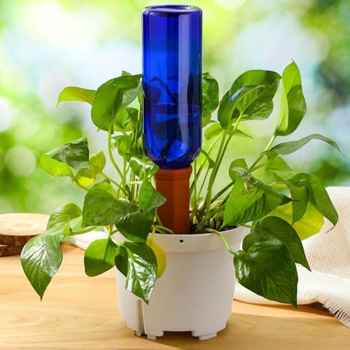 SiliFine 6 Sets Terracotta Watering Spikes,Dark Blue and Terracotta - Image 5