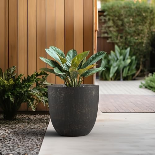 Kante Large Round Bowl Vintage BRN Concrete Planter 18" Dia, Outdoor - Image 5
