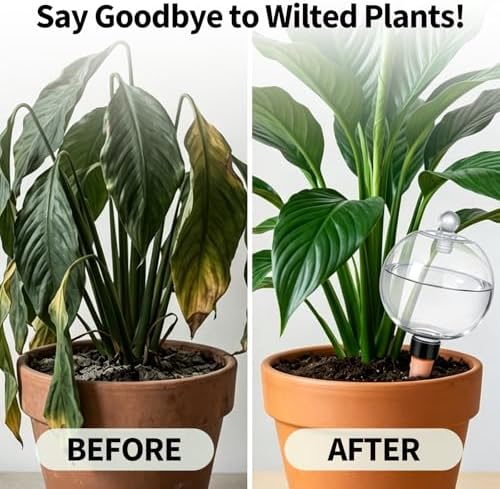 EX-Large Plastic Plant Self Watering Globes Top Fill-Plant Watering Devices - Image 5