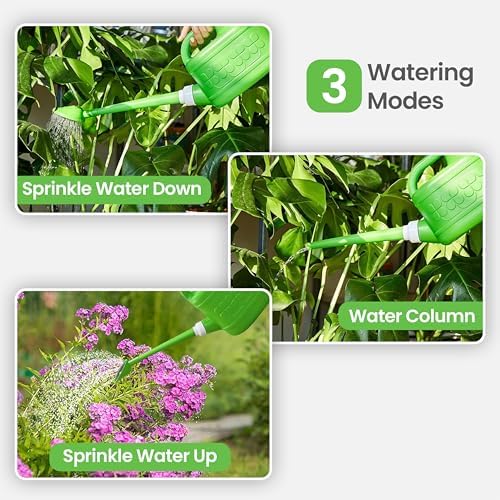 Plastic 1-Gallon Watering Can with Long Spout and Dual Handle for Indoor & Outdoor Plant Care, Lawn Maintenance and Yard Gardening - Image 4
