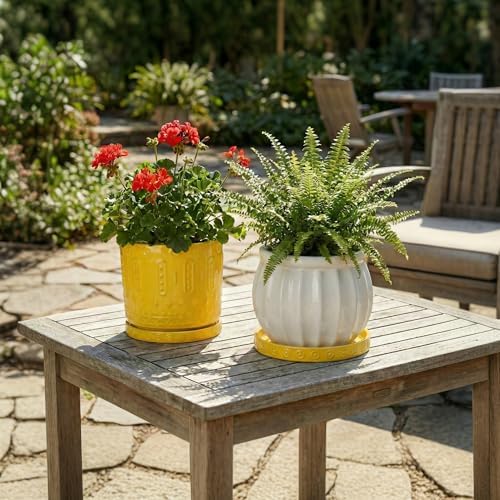 Eightpot Plant Water Catcher Tray 7.5 Inch, 2 Pack Ceramic Plant Saucers for Indoors Outdoors, Round Plants Plates to Catch Water, Modern Decorative Plants Dishes to Catch Water, Yellow - Image 7