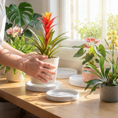 Ceramic Plant Saucer 8.5 Inch 2 Pack White, Fits Pot Base Under 8 Inch - Image 2