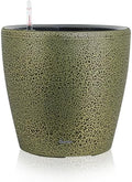 Dexceder 13x12 Self Watering Planter with Wheels (Black Gold Crackle) by Dexceder