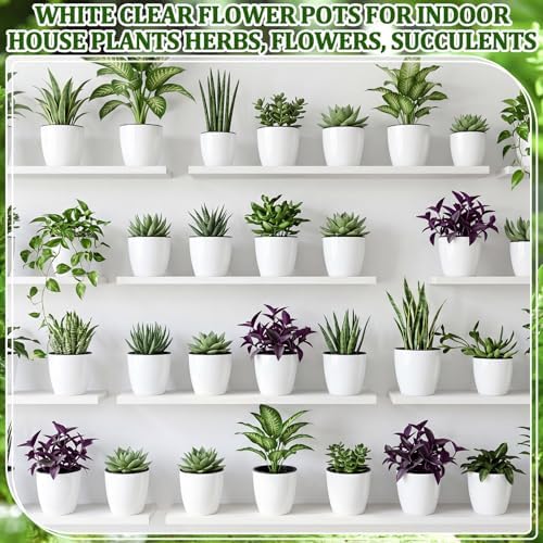 Self Watering Plant Pots, 3.5'', White Black, 36 Pcs - Image 6