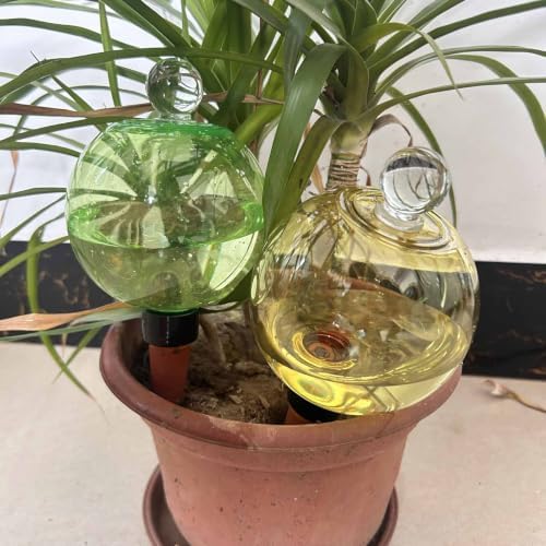 Automatic Plant Watering Globes Top Fill Automatic Houseplant Drip - Image 3