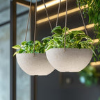 LA Jolie Muse Hanging Planter Baskets for Indoor Plant, Set of 2, 9.84 Inch - Image 5