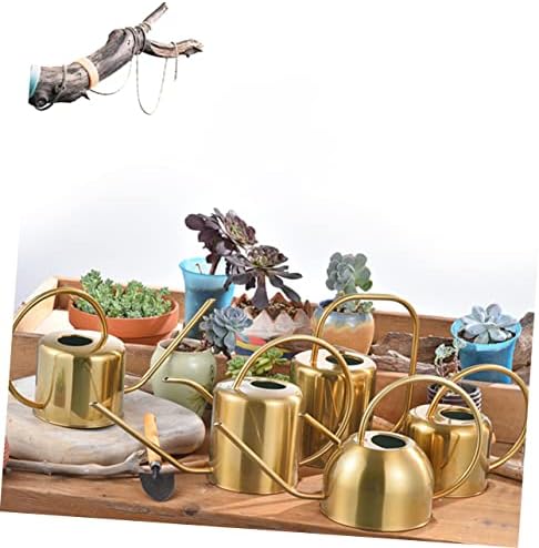 BESPORTBLE Stainless Steel Watering Can for Outdoor Plants Auto Plant Watering Devices Retro Design Long Spout for Succulents - Image 7