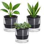 D'vine Dev Self-Watering Black Terracotta Planter, 4 in, 3-Pack, 37-Z-A-3-T by DvineDevPlanterPotsandStand