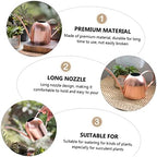 Milisten Gold Plant Pot Watering Can Creative Small Watering Bottle Plant Mister - Image 6