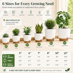 6 Size Self Watering Pots for Indoor Plants, Flower Plant Pot, White - Image 2