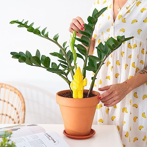 Fisura Original Self Watering Plant Pot - Automatic Watering Gnome Shape - Watering for Indoor Plants with 100ml Capacity - Material: Terracotta (Yellow) - Image 3