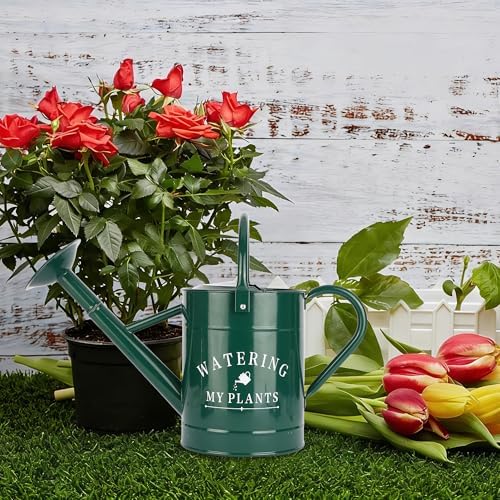 Garutom Galvanized Watering Can for Outdoor Indoor Plants, 1 Gallon Decorative Countryside Water Can with Removable Spout, Metal Watering Can for Indoor Plants and Garden Flower (Green) - Image 4
