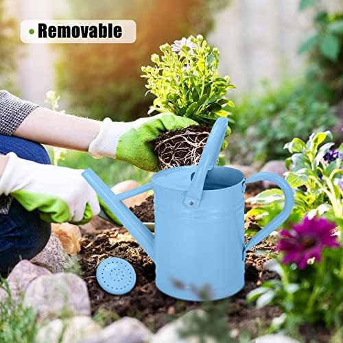 Metal Watering Can (1 Gallon) for Outdoor&Indoor Plants with Free Small Watering can for Kids, Plant Watering Can with Removable spout, Perfect for Garden Flower, Houseplants, (Light Blue) - Image 3