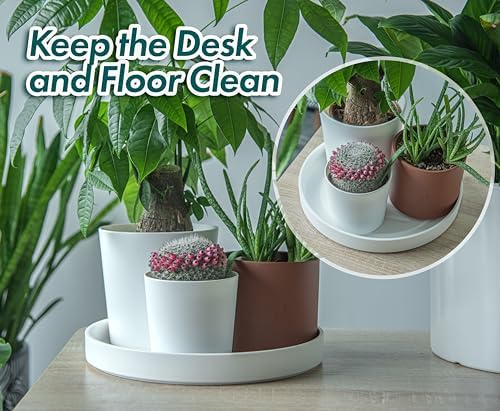 Phoenix Vine 12 Inch Plastic Plant Saucer Water Drip Tray, Heavy Sturdy Round Plant Drainage Tray for Indoors Outdoor, Set of 2, Matte White, 21-TY-12W-2 - Image 3