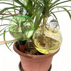 Automatic Plant Watering Globes Top Fill Automatic Houseplant Drip - Image 2