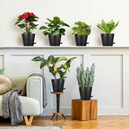 8 Inch Self Watering pots for Indoor, 6 Pack Plastic Plant Pots with Drainage Holes, Black - Image 2