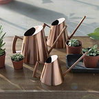 Household Bonsai Stainless Steel Watering Can, Mini Brushed Indoor House Plants Long Spout Watering Can Modern Watering Pot, Rose Gold(L) - Image 7