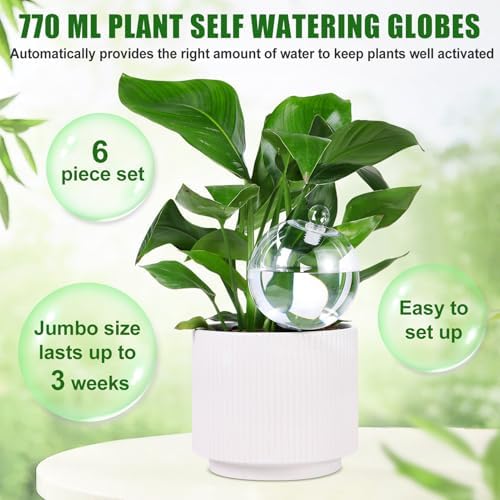 6 Pack 26 oz Extra Large Plant Self Watering Globes Top Fill - Image 4