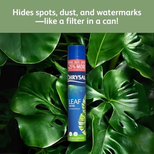 Chrysal LeafShine Spray for Indoor Plants (25oz 6 Pack) - Image 3