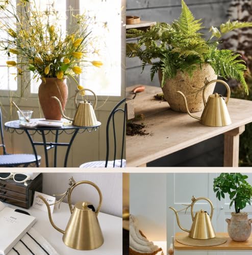 Brass Gold Watering Can for Indoor Plants and Garden - Image 5