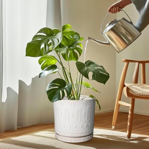 Eightpot Plant Saucer for Indoors - Ceramic Plant Saucer for Outdoors 11.4 Inch Plant Water Catcher Tray Plant Pot Saucer Plant Drip Tray Drainage Large Plant Plates to Catch Water, Cream White - Image 2
