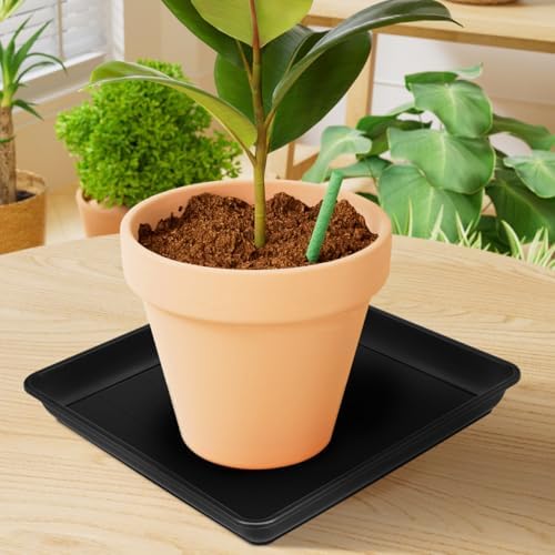 Abaodam 2 Pack Square Plant Saucer Tray 16 inch, Heavy Duty Plastic Square Plant Saucers for Indoors Outdoor, Flower Planter Drip Trays for Pots, Seed Starting, Seedling Growing - Image 2