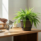 Sun-E 10" Self-Watering Whiskey Barrel Planter 3 Pack for Indoor Outdoor - Image 2