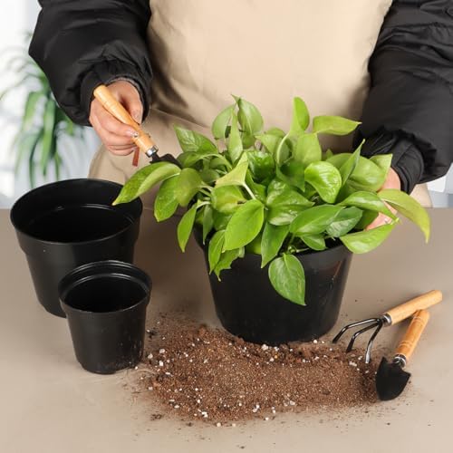 RooTrimmer 4/6/8 Inch Black Plant Nursery Pots, 15 Pack, Thickened Plastic with Drainage Holes, Indoor/Outdoor - Image 2