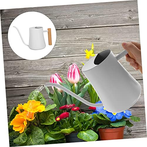 Levemolo Garden Watering Can Long Spout Capacity Stainless Steel Plant Mister Spray Bottle - Image 3