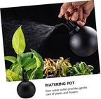 Watering Can Black Xmas 500ml Stainless Steel for Flowers and Plants - Image 5