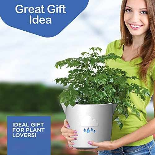 King's Gardening Clever Pot - Self Watering Pot for Indoor Outdoor Use, Animated Cloud Water Level Indicator, UV Resistant Planter, Ideal for Flowers, African Violets, and More 8" (Pearl Cloud) - Image 6