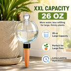 26 oz Extra Large Plant Self Watering Globes XXL for Outdoor Indoor (6Pack) - Image 2