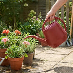 1 Gallon Watering Can, 4L Plastic Plant Watering Can with Long Spout Large Capacity & Precise Tool for Indoor and Houseplants, Claret Garden Outdoor.. - Image 4