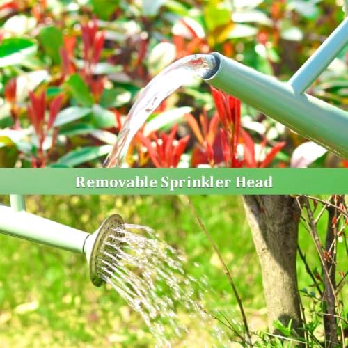 1 Gallon Watering Can for Outdoor&Indoor Plants - Image 5