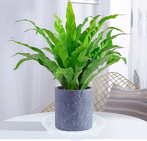 6 Pack Plant Saucer Drip Tray 14 inch, Large Plastic Plant Trays, Heavy Sturdy Plastic Planter Flower Pot Saucers for Indoor Outdoor Garden, Plant Water Drip Trays for pots (14", Clear) - Image 6