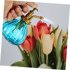 Vintage Glass Watering Bottle 2 Pack for Plants and Flowers - Image 4
