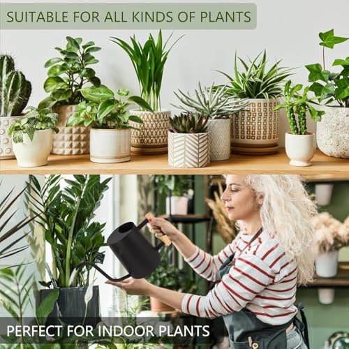 ZJchao Watering Can for Indoor Plants, 1000ML Retro Stainless Steel Plant Waterer with Long Spout for House Plants Bonsai Outdoor Garden Flower Decorative (Black) - Image 6