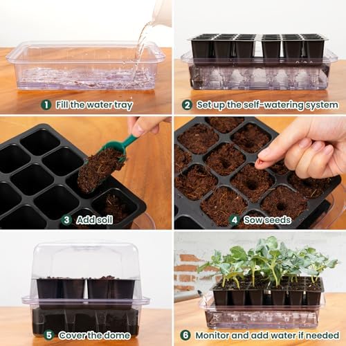 SOLIGT Self Watering Seed Starter Trays with Humidity Domes 6 Pack 144 Cell - Image 4