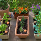 8pcs 3.1 * 3.1 * 6in Olla Pots for Garden Olla Watering System Terracotta Watering Pots Olla Watering Pot with Lid Terracotta Globes Clay for Indoor and Outdoor Terra Cotta Clay - Image 6