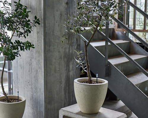 Sustee Watering Checker, Large Size, Black, 5-Pack - Image 4